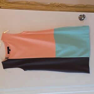Nine West Colorblock Dress 6